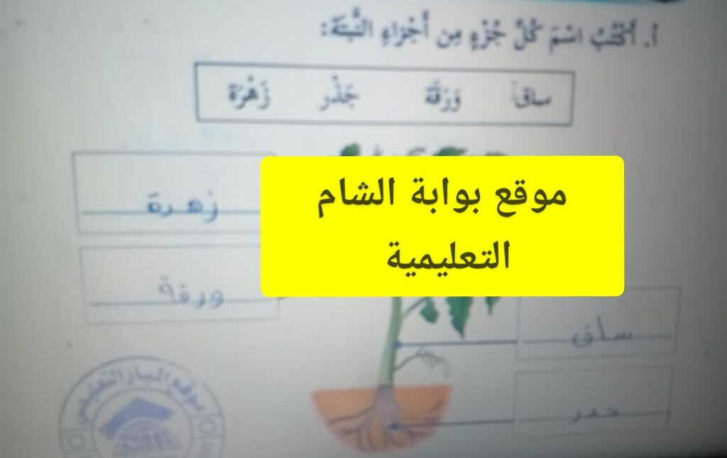 اجابة كتاب التربية الوطنية والحياتية للصف الثاني – الفصل الثاني