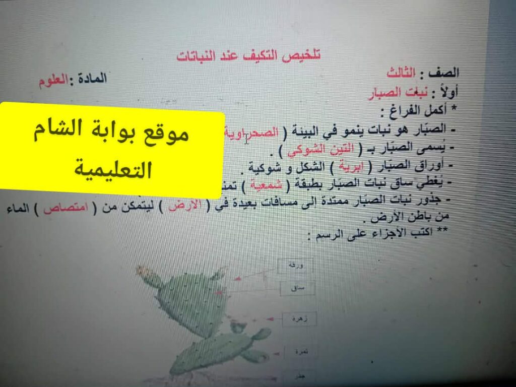 تلخيص رائع ومجاب للتكيف عند النباتات لمبحث علوم الصف الثالث الفصل الثاني 