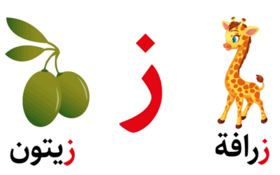 تعليم حرف الزين للأطفال في مرحلة التأسيس بطرق سهلة وممتعة