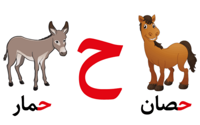 تعليم حرف الحاء للأطفال في مرحلة التأسيس بطرق سهلة وممتعة
